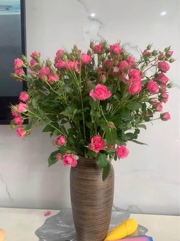 Nhà riêng tại Ngõ 47 Lê Lai, Hải Phòng, 90m² giá 5.5 tỷ - Đầu tư sinh lời!