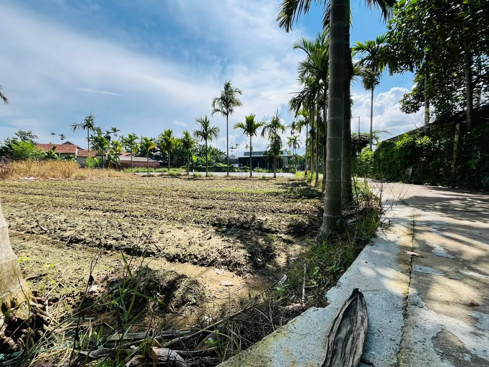 Đất lô góc Điện An, Quảng Ngãi 190m² giá 420 triệu - Cơ hội đầu tư sinh lời!