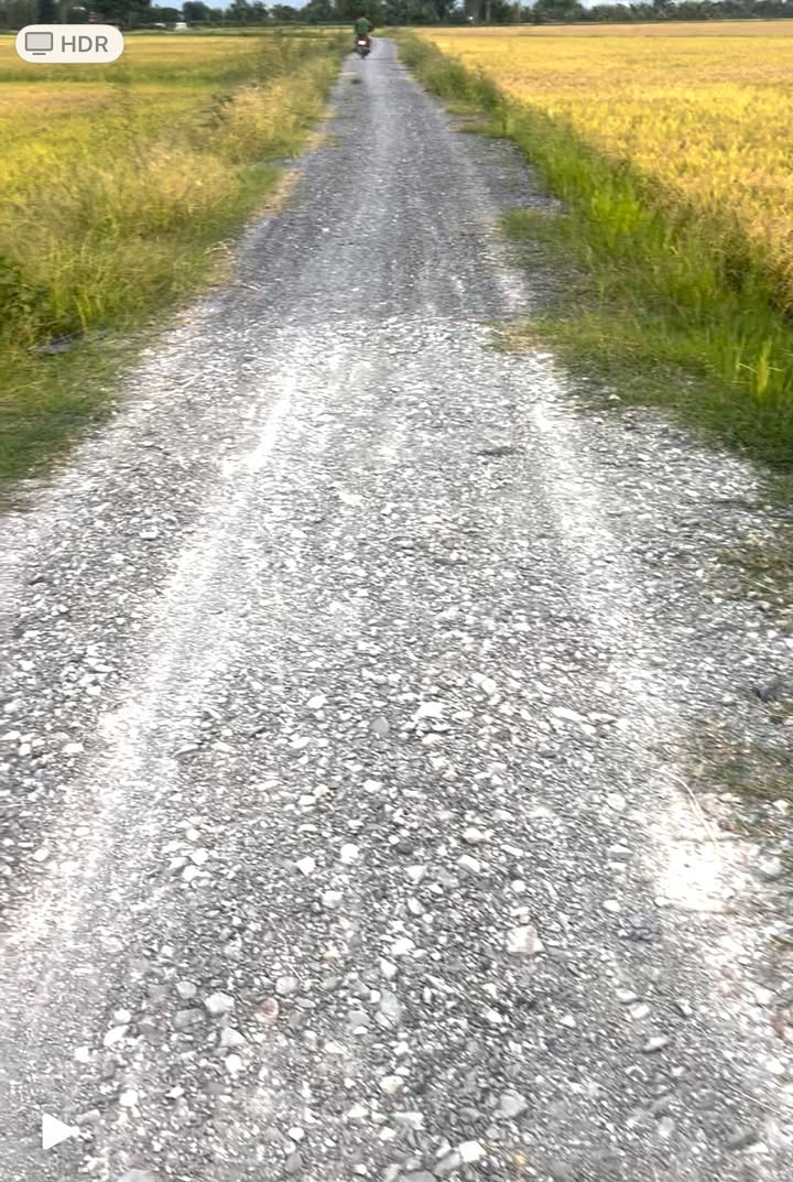 Farm 60,000m² Tân Hộ Cơ - Giá chỉ 600 triệu - Cơ hội đầu tư hấp dẫn!