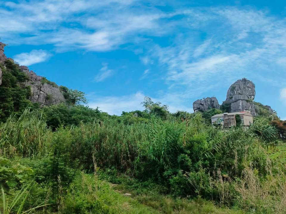 Đất nền 500m² Thôn Gọng Vó, Gia Hòa, Gia Viễn - Không gian nghỉ dưỡng lý tưởng!