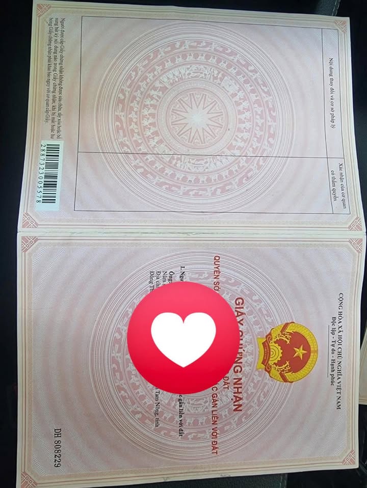 Đất nền đường Liên Xã Long Hồ 957m² giá 550 triệu - Pháp lý rõ ràng!