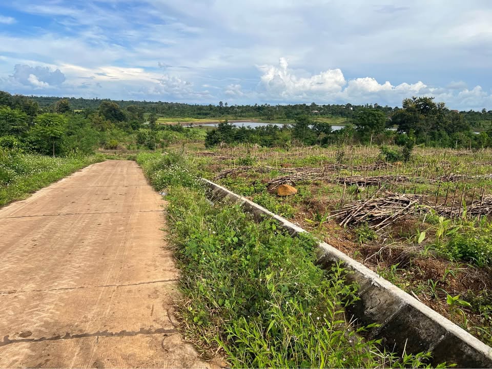 Bán đất sào Ea Drông, Buôn Hồ 1,2ha giá chỉ 1,8 tỷ - Tiềm năng đầu tư cao!