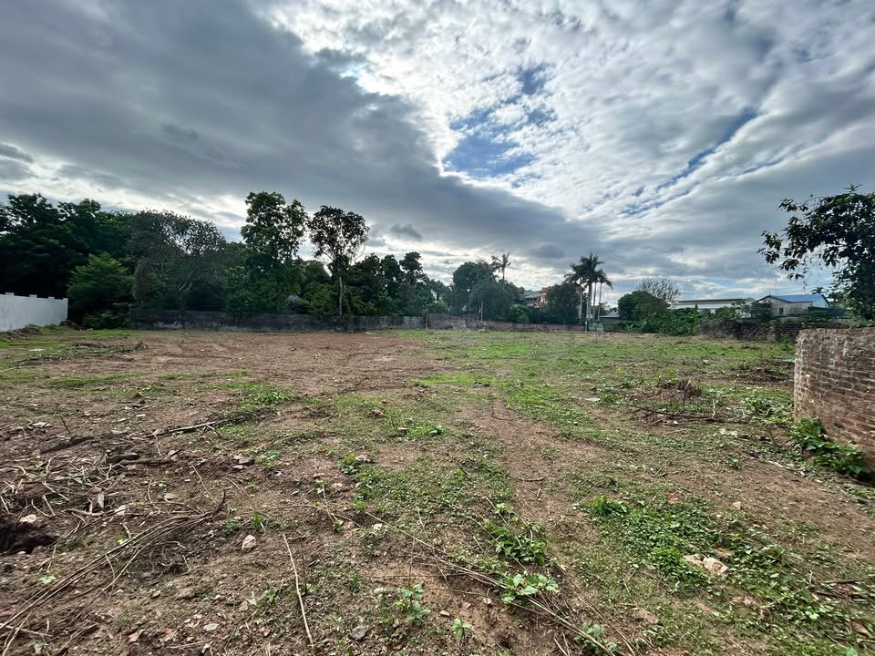 Đất nền Phú Thịnh, Minh Phú 2300m² giá thỏa thuận - Đầu tư sinh lời ngay!