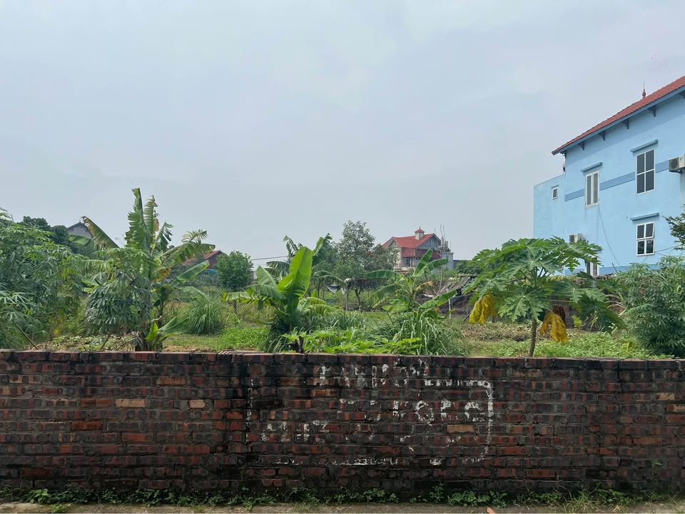 Đất nền Minh Phú, Sóc Sơn 1010m² - Cơ hội đầu tư hiếm có!