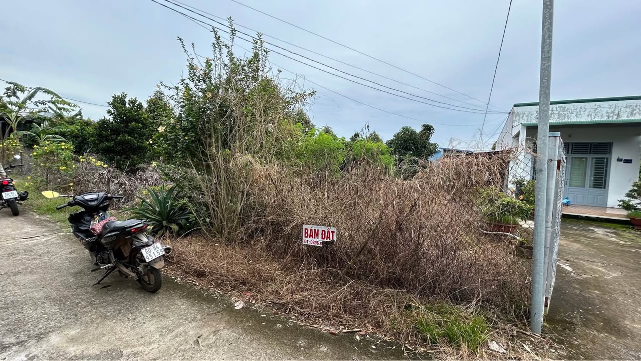 Đất nền chính chủ bán gấp tại xã Tân Phú, huyện Tân Phú, Đồng Nai - 100m² chỉ 350 triệu!