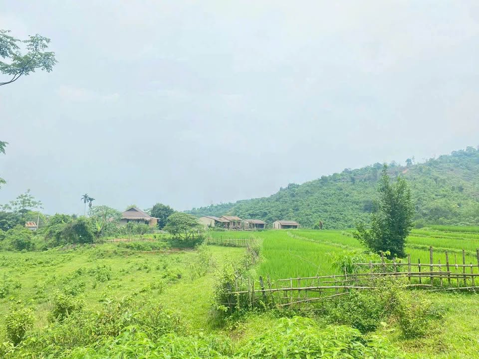 Đất nền nghỉ dưỡng Cao Sơn Lương Sơn 500m² - Giá thỏa thuận cho khách thiện chí!