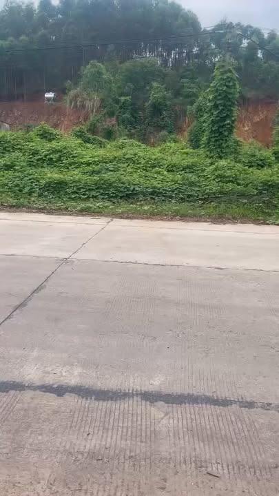 Đất thổ cư 100% mặt đường 293, Lục Sơn 143m² - Vị trí kinh doanh đắc địa!