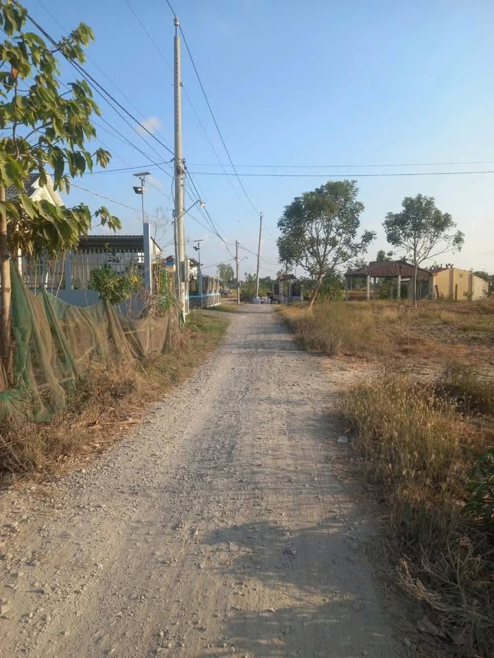 Đất mặt tiền đường Cầu Xây, Tân Lân, Cần Đước 1000m² giá 1.65 tỷ - Đầu tư sinh lời ngay!