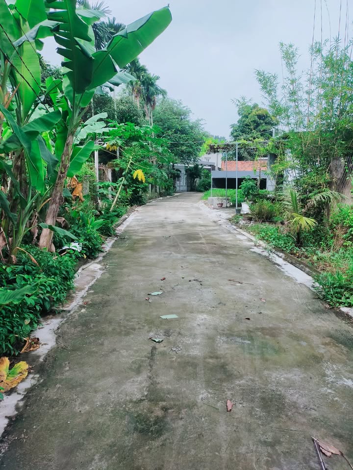 Đất nền Thủ Dầu Một 616m² giá 4.3 tỷ - Đường ô tô vào tận nơi!