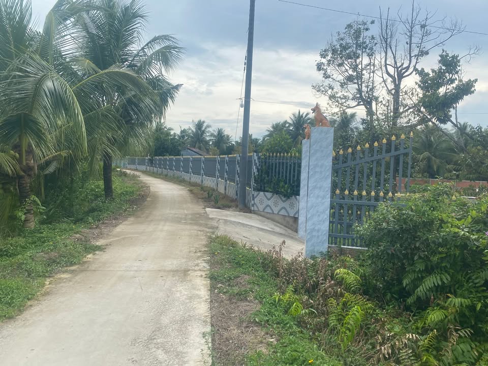 Đất thổ cư Bình Phước 172m² chỉ 220 triệu - Cần bán gấp!