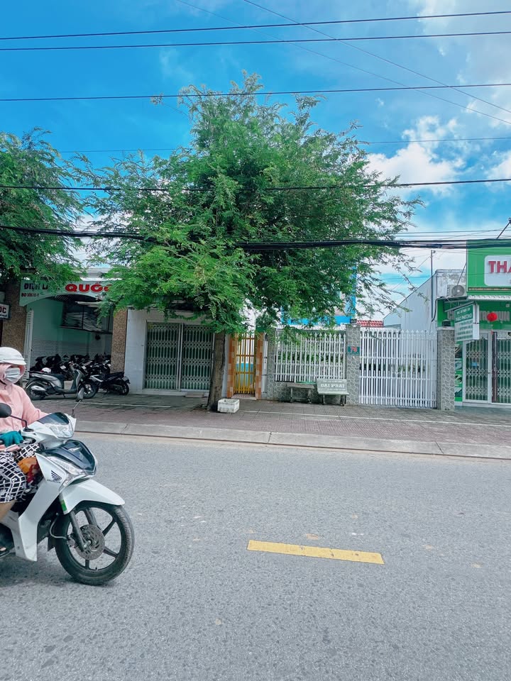 Đất thổ cư mặt tiền đường 19/5, Trà Vinh 220m² giá 4.5 tỷ - Tặng nhà cấp 4 đẹp