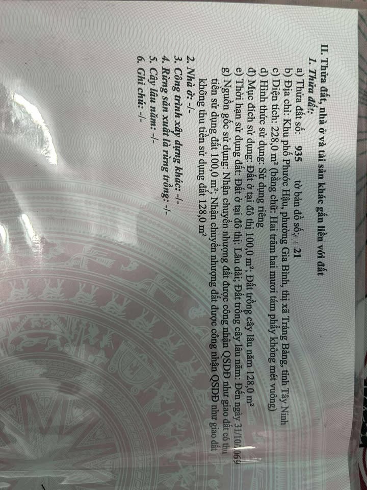 Đất nền 210m² Khu phố Phước Hậu, Gia Bình, Trảng Bàng - Giá 630 triệu, bớt lộc!