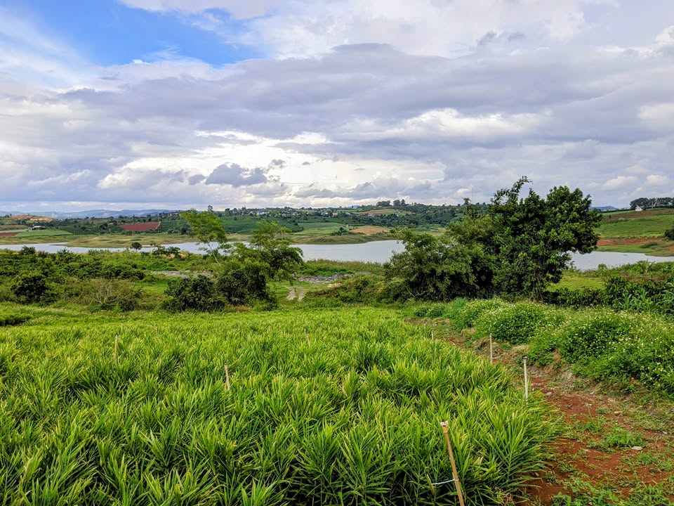 Đất nền Tà Hine, Lâm Đồng 30.000m² giá 19.5 tỷ - View hồ đẹp, chính chủ!