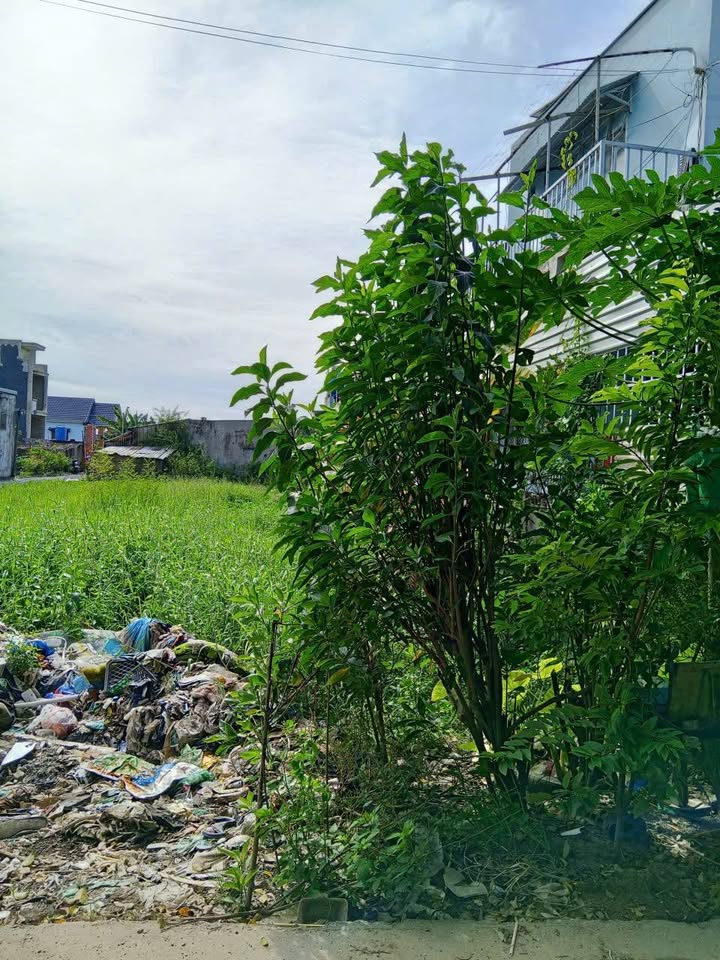 Bán đất 200m² tại Mỹ Hạnh, Đức Hòa - Giá chỉ 2.8 tỷ, tiềm năng đầu tư lớn!