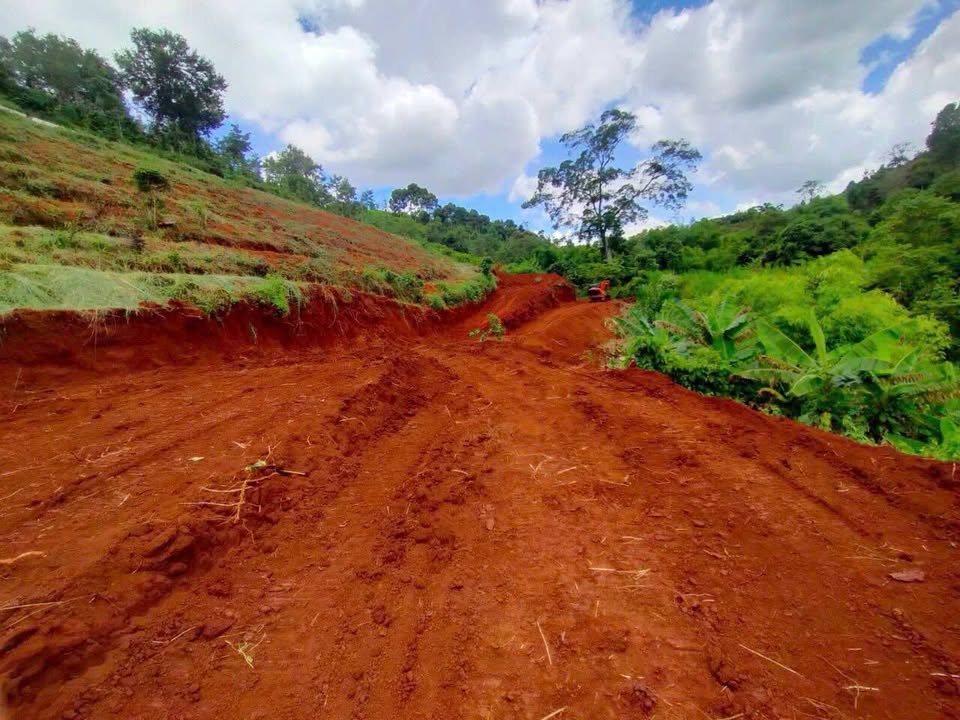 Đất Farm 8 Sào tại Thuận An, Đăk Mil giá 510 triệu - Địa thế tuyệt đẹp, sẵn sàng đầu tư!