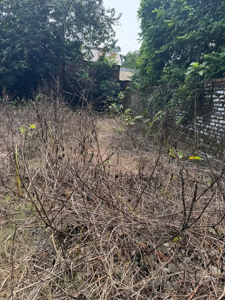 Đất Vân Nội Đông Anh 61.5m² giá thỏa thuận - Sổ đỏ chính chủ, giao thông thuận tiện!