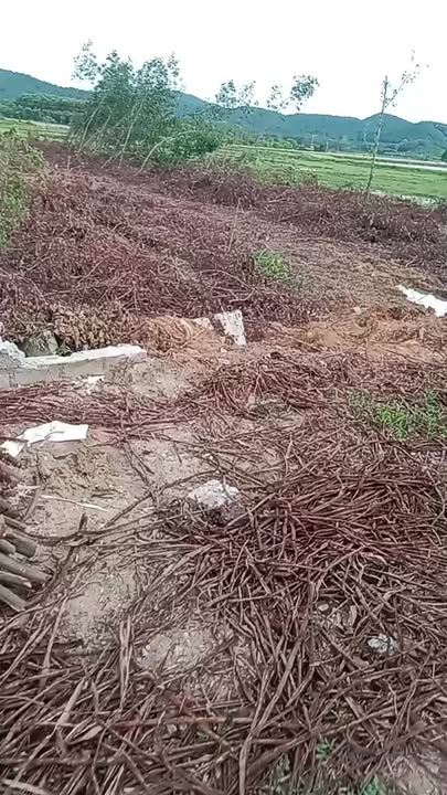 Đất nền 9000m² tại Nghi Văn, Nghệ An - View đồng mát mẻ, thỏa thuận giá!