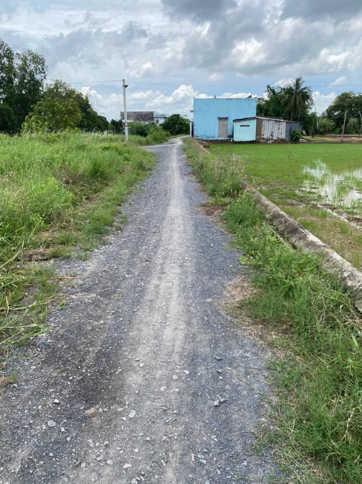 Đất nền xã Long Khê, Cần Đước, 1500m² giá 3 tỷ - Tiềm năng đầu tư hấp dẫn!