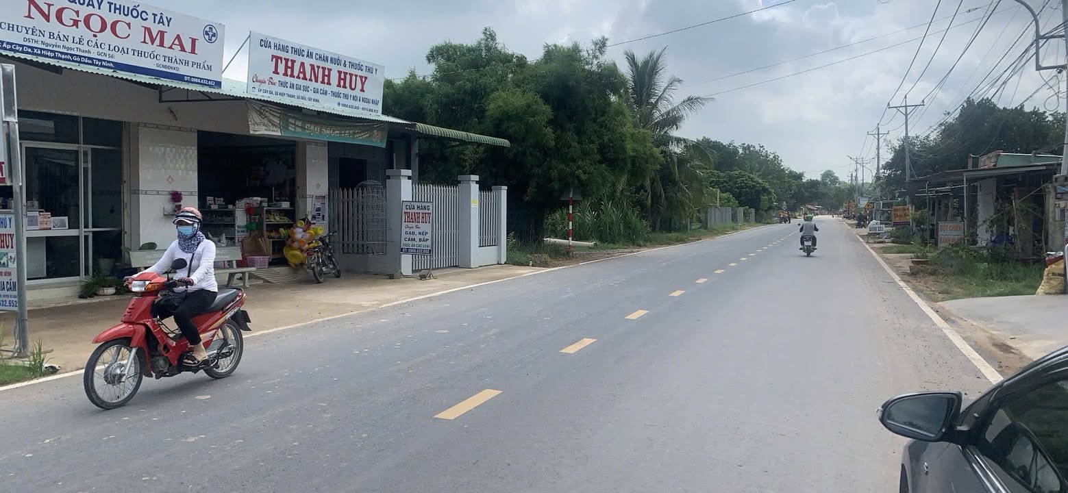 Đất thổ cư 50m² mặt tiền đường Nhựa Cây D, Gò Dầu, Tây Ninh - Giá chỉ 3.35 tỷ!