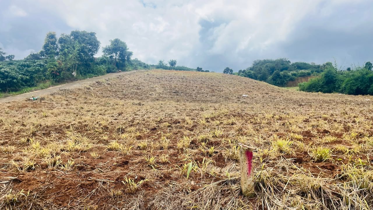 Lô đất góc 2 mặt tiền Nam Ban 500m² giá chỉ 1.3 tỷ - Cơ hội đầu tư tuyệt vời!