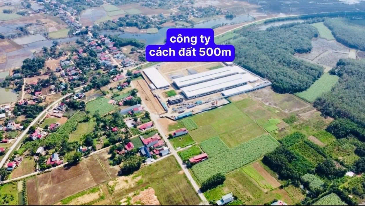 Đất thổ cư Thạch Bình - Thạch Thành 220.8m² - Vị trí đẹp, đầu tư sinh lời!