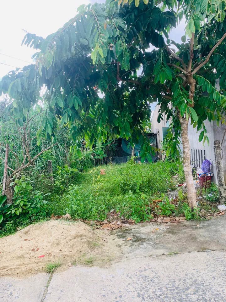 Đất nền chính chủ tại Điện Hòa, Điện Bàn 120.7m² giá chỉ 1.2 tỷ - Đầu tư sinh lời ngay!