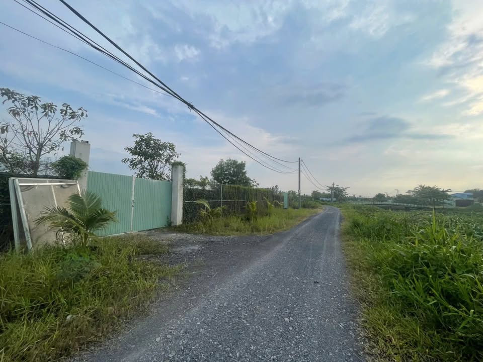 Đất vườn Bình Mỹ Củ Chi 1653m² giá 9.64 tỷ - Mặt tiền rạch lớn, đường xe tải thông