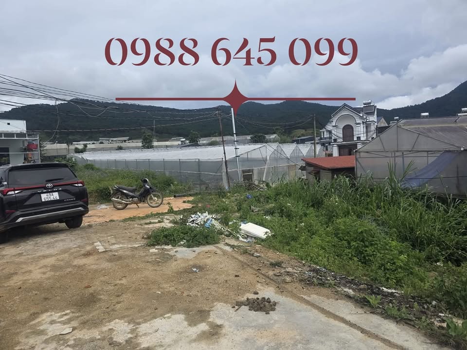 Đất nền phường Langbiang Đà Lạt 146m² giá chỉ 1.75 tỷ - Cơ hội đầu tư sinh lời cao!