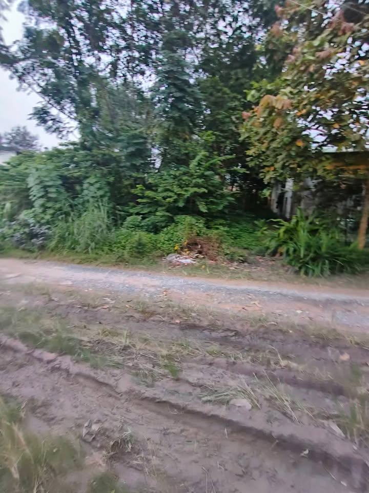 Đất hẻm 37 đường Ngô Quyền, Tây Ninh 165.2m² giá 1.74 tỷ - Đầu tư sinh lời ngay!