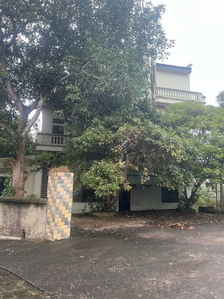 Đất nền Tiêu Sơn Đoan Hùng 1000m² giá chỉ 2 tỷ - Sẵn nhà 3 tầng, vị trí đẹp!