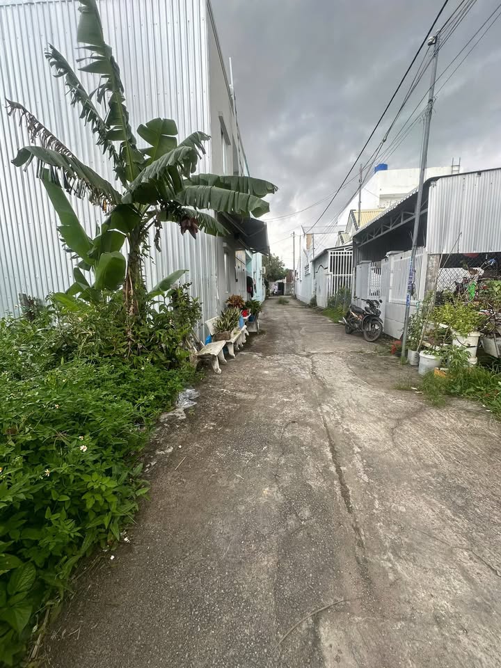 Đất nền Trương Định, An Bình, Rạch Giá 95m² - Sổ đỏ chính chủ, giá chỉ 1.15 tỷ!