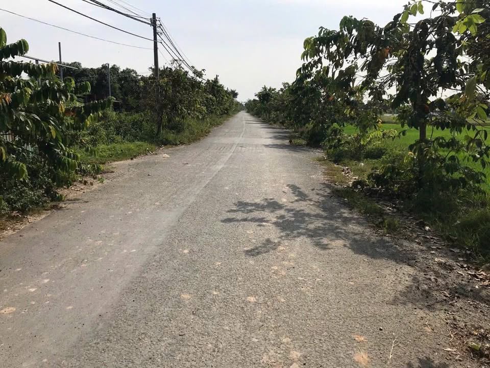 Bán đất nông nghiệp 4.800m² tại xã Xuân Thới Sơn, Hóc Môn - Giá chỉ 23.04 tỷ!