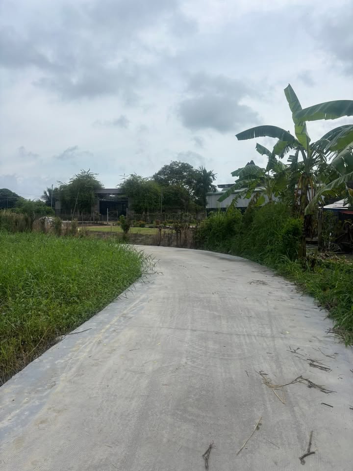 Đất nền chính chủ tại Xuân Đông, Cẩm Mỹ, 375m² - Giá chỉ 750 triệu!