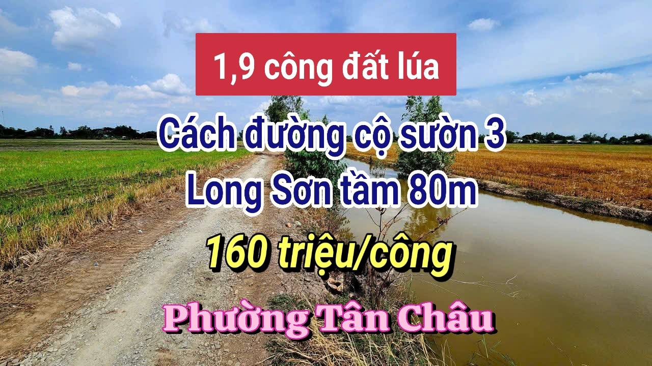 Đất ruộng 1919m² sổ hồng chính chủ tại Long Sơn - Giá 307 triệu, thương lượng!