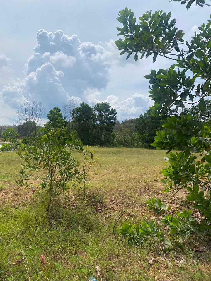 Đất nền Cát Tiên 735m² giá 400 triệu - Mặt tiền đường bê tông rộng rãi!