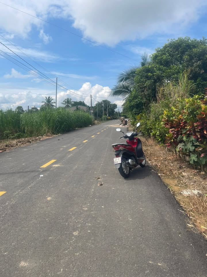 Đất nền 1350m² tại đường Võ Thị Sáu, Cát Tiên - Giá chỉ 1.35 tỷ!