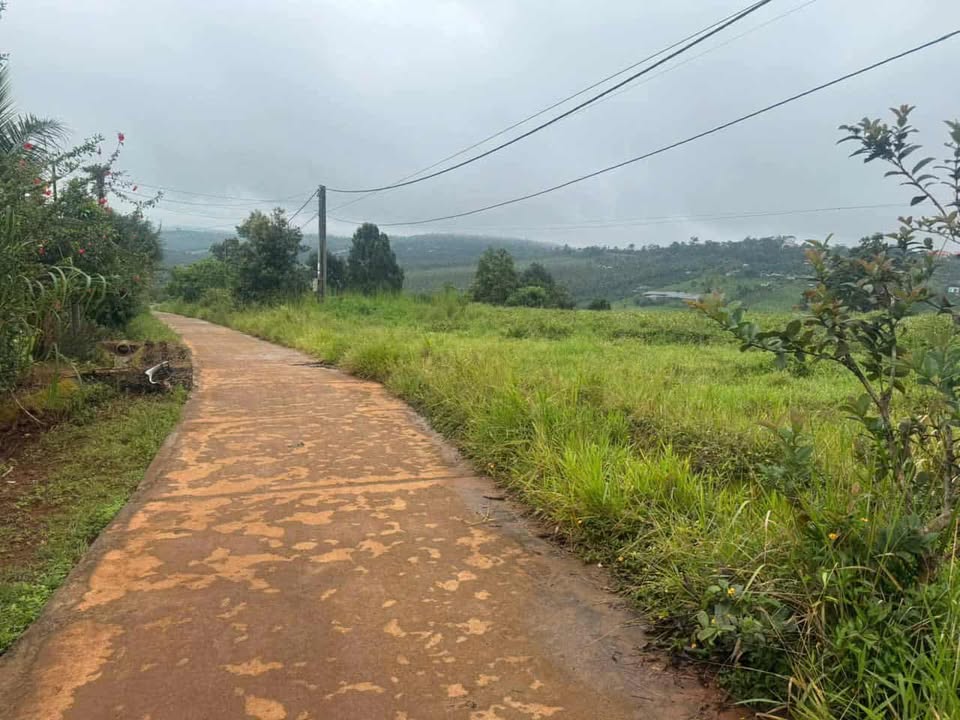 Đất nền phân lô Quảng Tâm, Tuy Đức 1,5ha giá 2 tỷ - Đầu tư lý tưởng!