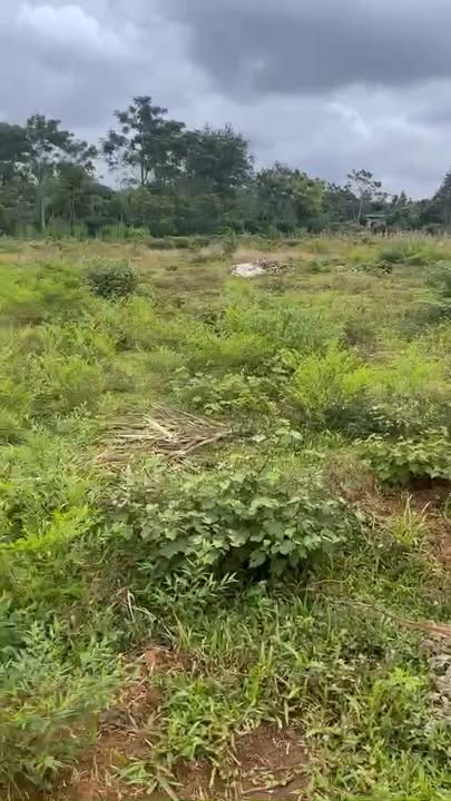 Đất nền đẹp tại xã Ea Tul, huyện Cư M'gar, diện tích 3.6 sào - Giá 2 tỷ, thương lượng chính chủ!