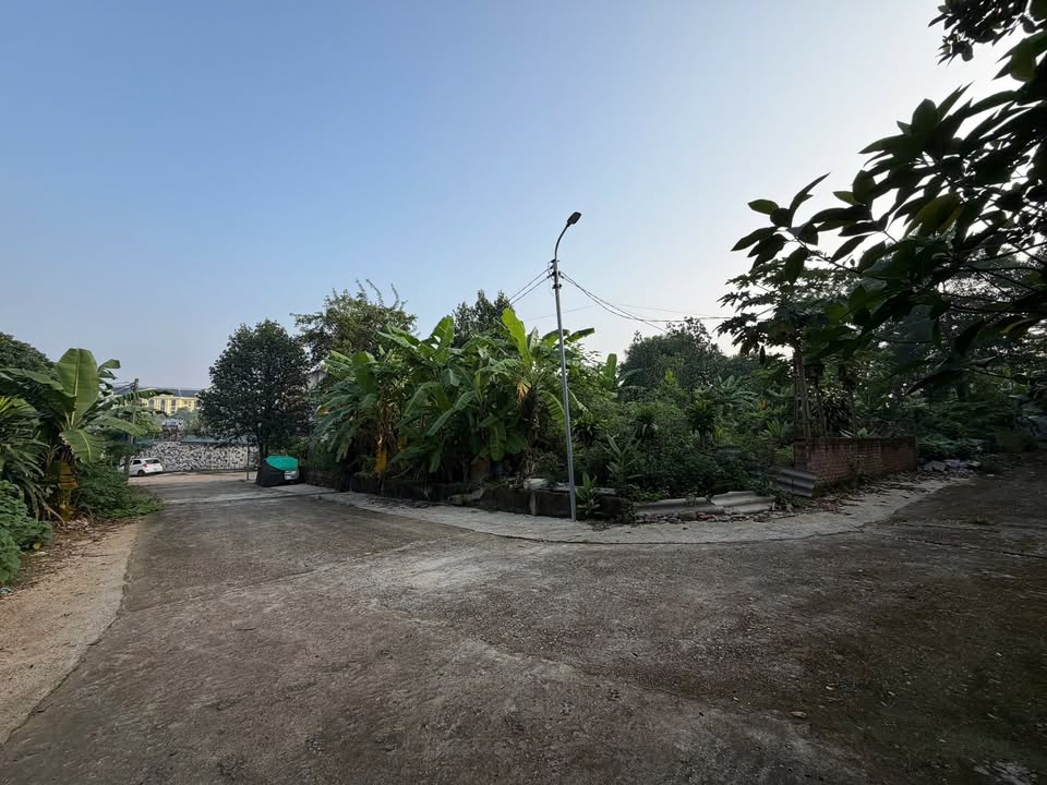 Đất nền Gia Cẩm, Việt Trì 220m² giá 5 tỷ - Đầu tư sinh lời ngay!