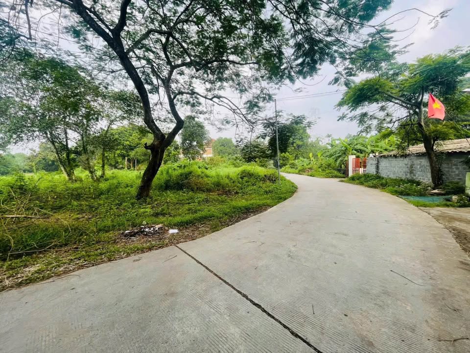 Đất nền 489m² tại Cư Yên – Nhuận Trạch, Lương Sơn - Mặt tiền rộng, giá tốt!