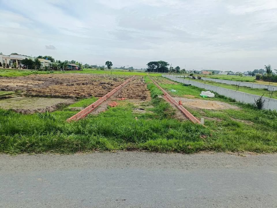 Đất nền mặt tiền đường Lục Viên, Đức Hòa, Long An diện tích 350m² - Giá chỉ 2.29 tỷ!