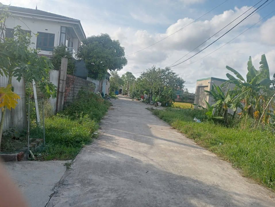 Đất nền Cẩm Vịnh 125m² giá 1.1 tỷ - Vị trí đắc địa, giao thông thuận lợi!