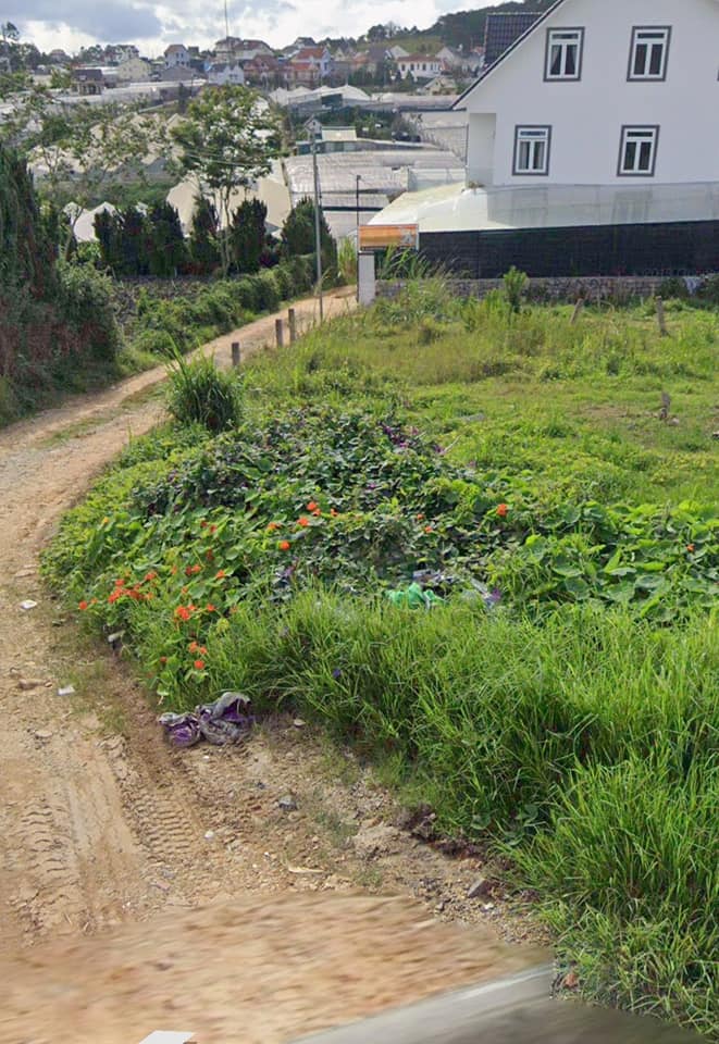 Đất nền 105m² hẻm ô tô Ngô Tất Tố P8 Đà Lạt - Giá 2.5 tỷ thương lượng!
