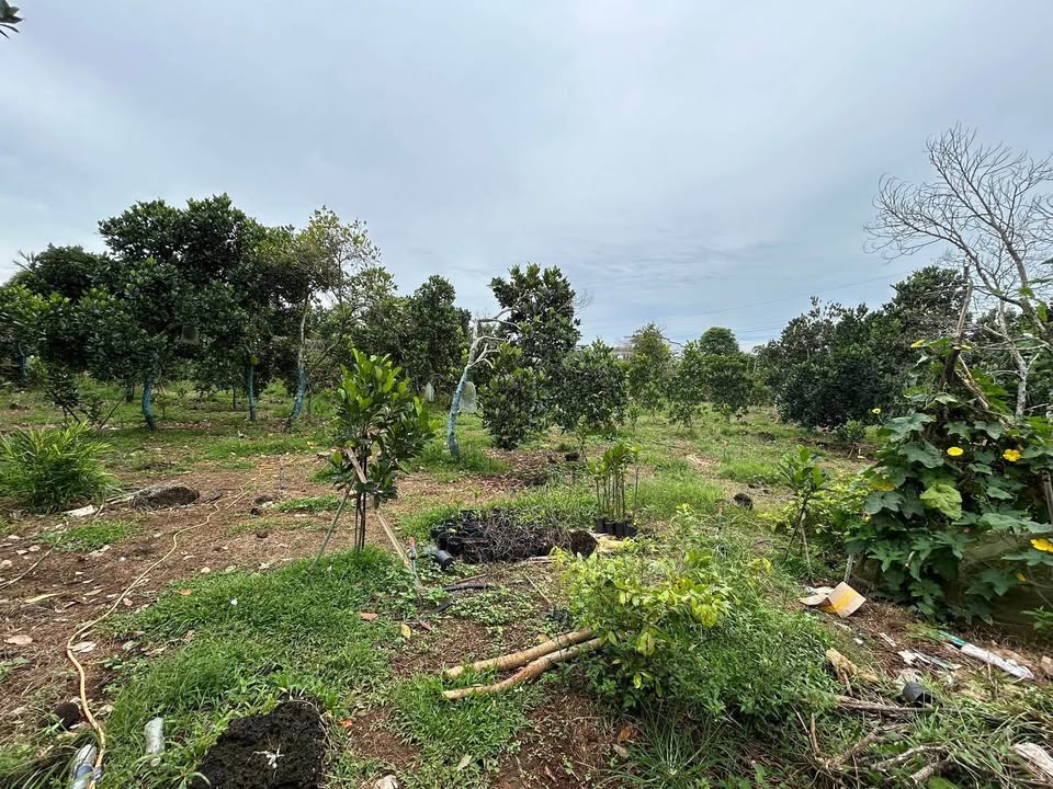 Đất có nhà cấp 4 xã Tân Phú, Đồng Nai 2676m² giá 2.45 tỷ - Đầu tư sinh lời hấp dẫn!