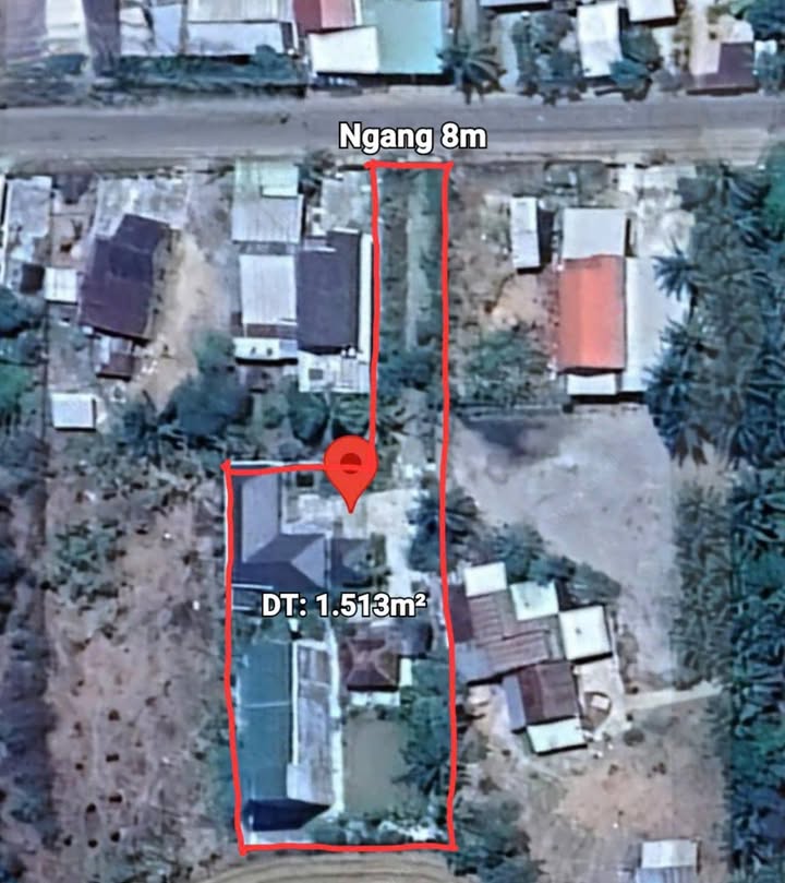 Nhà vườn kết hợp nhà yến Diên Tân 1513m² - Đầu tư sinh lời bền vững!