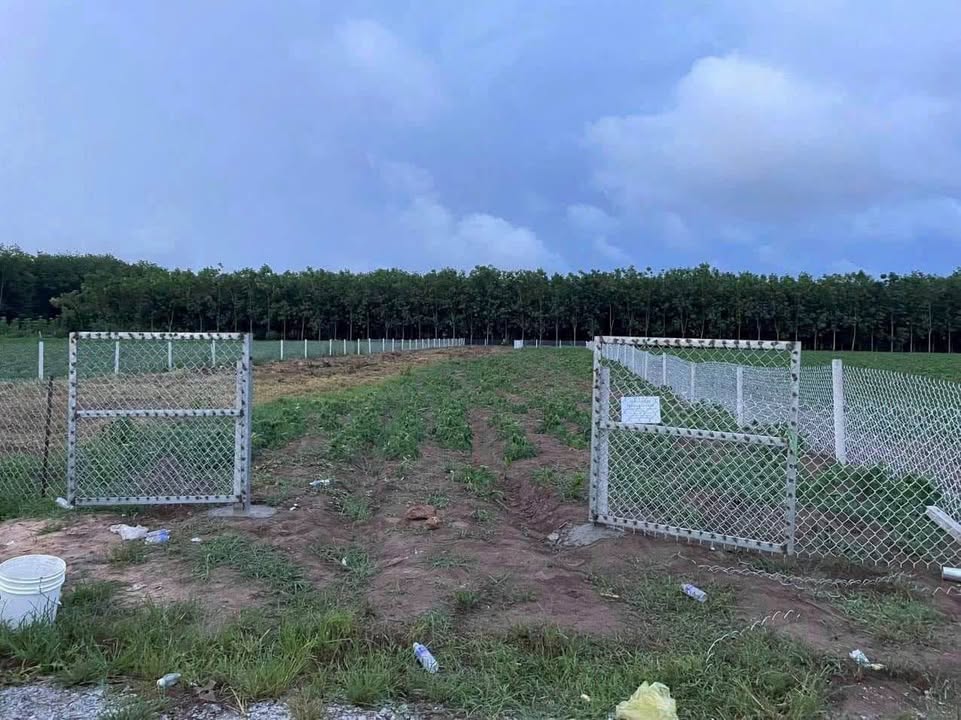 Đất nền Minh Thành Chơn Thành 550m² giá 510 triệu - Sổ đỏ chính chủ