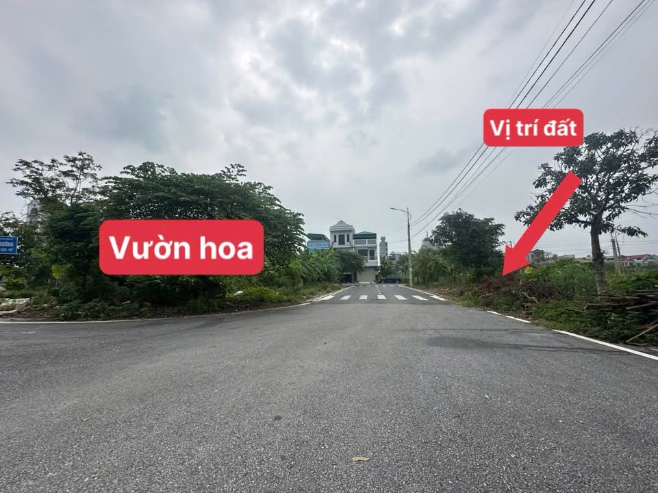 Đất nền KCN Thăng Long 3 Vĩnh Phúc 100m² giá 3 tỷ - View vườn hoa hấp dẫn!
