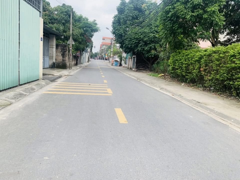 Đất nền Hùng Vương, Hồng Bàng 115,6m² giá 3,56 tỷ - Đầu tư sinh lời ngay!