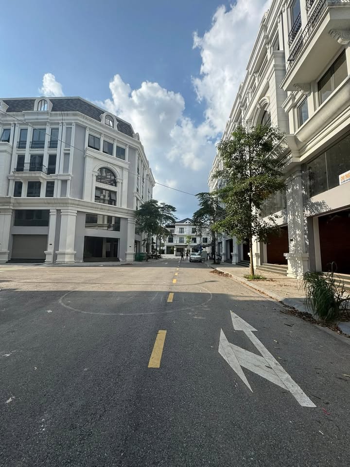 Bán lô đất đường Hồ Tùng Mậu, phường Đông Kinh 81.6m² - Vị trí đẹp, dân trí cao!