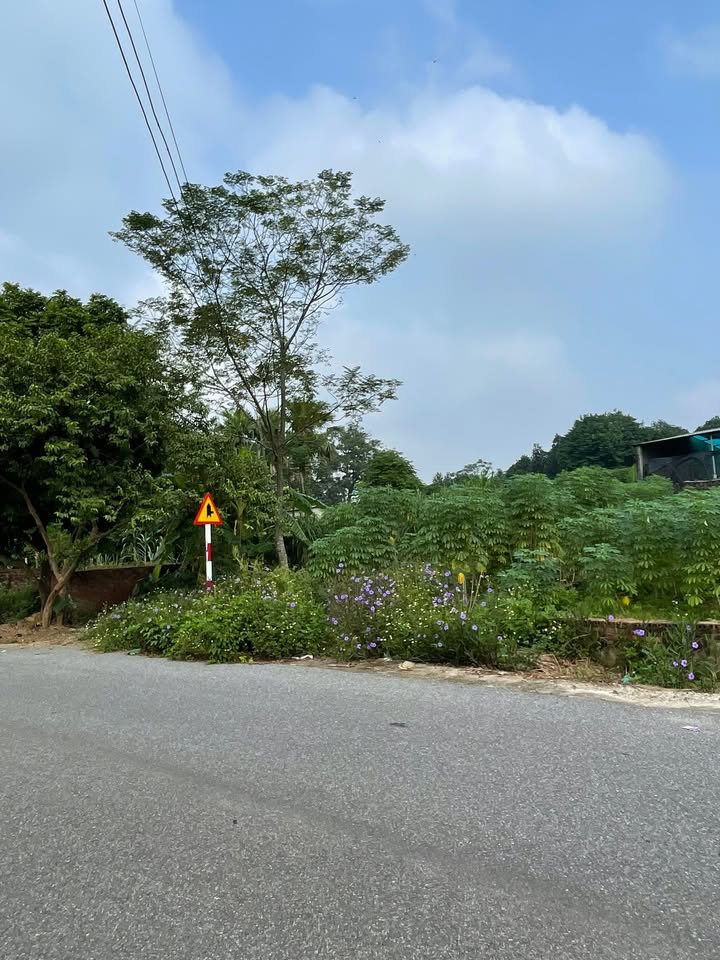 Đất nền khu phố 10 Kim Đức 98m² giá 2 tỷ - Vị trí đắc địa gần nhà văn hóa!